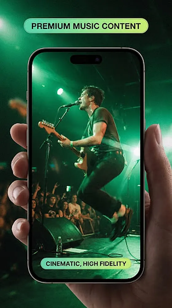 Vertical phone framing of the main stage pan during the performance