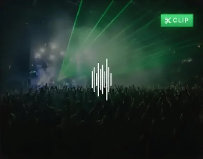 Crowd moments — audience singing and reacting at a live show